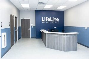 Best Life Line Dog Clinic & Pet Care Services My Caring Dog – Tips, Stories, and Care Guides for Loving Pet Owners Best Life Line Dog Clinic & Pet Care Services | My Caring Dog – Tips, Stories, and Care Guides for Loving Pet Owners