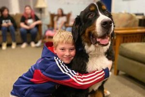 Complete Support Dog Training Guide My Caring Dog – Tips, Stories, and Care Guides for Loving Pet Owners Complete Support Dog Training Guide | My Caring Dog – Tips, Stories, and Care Guides for Loving Pet Owners