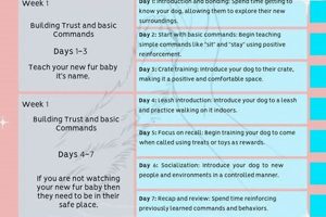 Effective Day Dog Training Programs Near You My Caring Dog – Tips, Stories, and Care Guides for Loving Pet Owners Effective Day Dog Training Programs Near You | My Caring Dog – Tips, Stories, and Care Guides for Loving Pet Owners