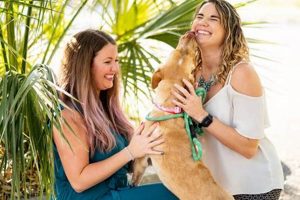Top Sacramento Dog Day Care & Boarding My Caring Dog – Tips, Stories, and Care Guides for Loving Pet Owners Top Sacramento Dog Day Care & Boarding | My Caring Dog – Tips, Stories, and Care Guides for Loving Pet Owners