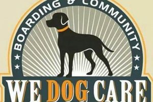 We Dog Care San Jose Ca My Caring Dog – Tips, Stories, and Care Guides for Loving Pet Owners We Dog Care San Jose Ca | My Caring Dog – Tips, Stories, and Care Guides for Loving Pet Owners