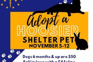 Adopt a Fort Wayne Dog: See Photos & Apply My Caring Dog – Tips, Stories, and Care Guides for Loving Pet Owners Adopt a Fort Wayne Dog: See Photos & Apply | My Caring Dog – Tips, Stories, and Care Guides for Loving Pet Owners
