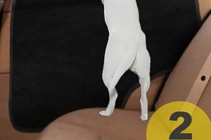 Best Dog Car Door Covers For Pet Protection My Caring Dog – Tips, Stories, and Care Guides for Loving Pet Owners Best Dog Car Door Covers For Pet Protection | My Caring Dog – Tips, Stories, and Care Guides for Loving Pet Owners