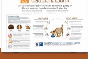 Best Hill's Kidney Care Wet Dog Food: A Guide My Caring Dog – Tips, Stories, and Care Guides for Loving Pet Owners Best Hill's Kidney Care Wet Dog Food: A Guide | My Caring Dog – Tips, Stories, and Care Guides for Loving Pet Owners