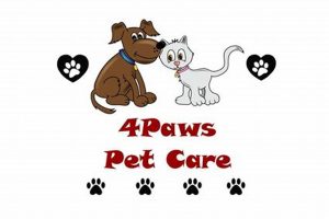 Best Dog Day Care in Clinton Township, MI My Caring Dog – Tips, Stories, and Care Guides for Loving Pet Owners Best Dog Day Care in Clinton Township, MI | My Caring Dog – Tips, Stories, and Care Guides for Loving Pet Owners