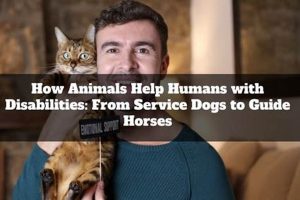 Amazing Assistance Animals for Humans with Disabilities My Caring Dog – Tips, Stories, and Care Guides for Loving Pet Owners Amazing Assistance Animals for Humans with Disabilities | My Caring Dog – Tips, Stories, and Care Guides for Loving Pet Owners