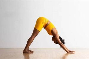 Ultimate Car Yoga: Downward Dog NYT Pose Guide My Caring Dog – Tips, Stories, and Care Guides for Loving Pet Owners Ultimate Car Yoga: Downward Dog NYT Pose Guide | My Caring Dog – Tips, Stories, and Care Guides for Loving Pet Owners
