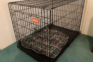 Best ASPCA Crate Options for Car Dogs My Caring Dog – Tips, Stories, and Care Guides for Loving Pet Owners Best ASPCA Crate Options for Car Dogs | My Caring Dog – Tips, Stories, and Care Guides for Loving Pet Owners