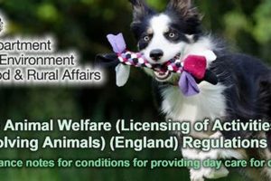 Essential Dog Day Care Regulations & Compliance My Caring Dog – Tips, Stories, and Care Guides for Loving Pet Owners Essential Dog Day Care Regulations & Compliance | My Caring Dog – Tips, Stories, and Care Guides for Loving Pet Owners
