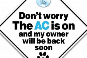 Best Dog AC For Car: Keep Your Pup Cool & Safe My Caring Dog – Tips, Stories, and Care Guides for Loving Pet Owners Best Dog AC For Car: Keep Your Pup Cool & Safe | My Caring Dog – Tips, Stories, and Care Guides for Loving Pet Owners