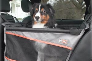 Car Box For Dogs My Caring Dog – Tips, Stories, and Care Guides for Loving Pet Owners Car Box For Dogs | My Caring Dog – Tips, Stories, and Care Guides for Loving Pet Owners