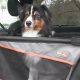 Car Box For Dogs | My Caring Dog – Tips, Stories, and Care Guides for Loving Pet Owners