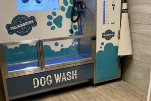 Best Dog Wash Near Me & Car Wash: Quick & Easy My Caring Dog – Tips, Stories, and Care Guides for Loving Pet Owners Best Dog Wash Near Me & Car Wash: Quick & Easy | My Caring Dog – Tips, Stories, and Care Guides for Loving Pet Owners