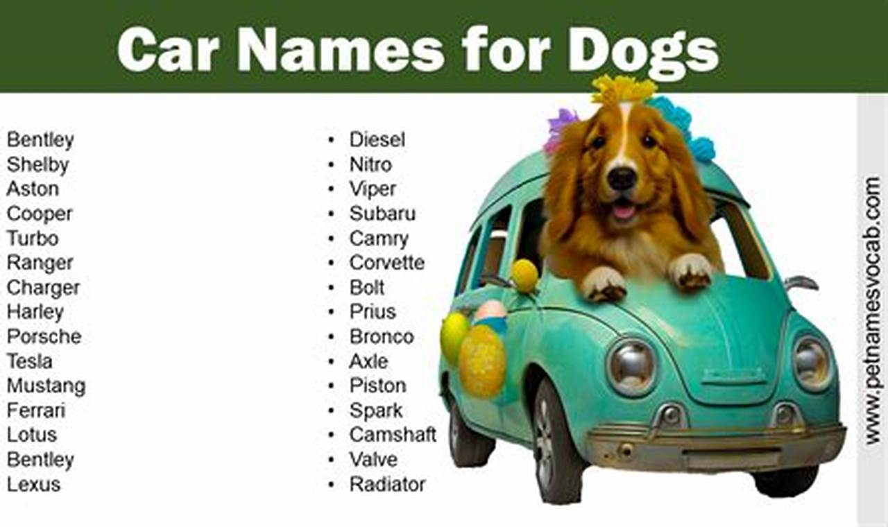 DOG CAR NAMES MALE visual data 4