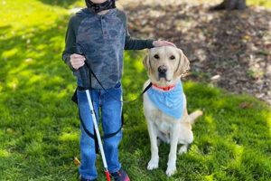 Best Service Dogs for the Blind: A Guide My Caring Dog – Tips, Stories, and Care Guides for Loving Pet Owners Best Service Dogs for the Blind: A Guide | My Caring Dog – Tips, Stories, and Care Guides for Loving Pet Owners