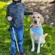 Best Service Dogs for the Blind: A Guide | My Caring Dog – Tips, Stories, and Care Guides for Loving Pet Owners