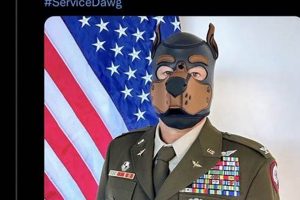 Fluffy Car Companions: Dog General Furry Guide My Caring Dog – Tips, Stories, and Care Guides for Loving Pet Owners Fluffy Car Companions: Dog General Furry Guide | My Caring Dog – Tips, Stories, and Care Guides for Loving Pet Owners