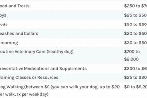 Avg. Dog Care Costs Per Month: Budget & Tips My Caring Dog – Tips, Stories, and Care Guides for Loving Pet Owners Avg. Dog Care Costs Per Month: Budget & Tips | My Caring Dog – Tips, Stories, and Care Guides for Loving Pet Owners