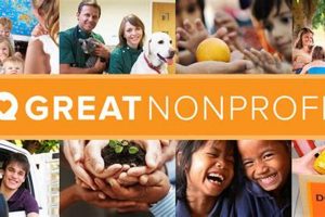 Best Non Profit Pet Rescues Near Me | Adopt a Dog My Caring Dog – Tips, Stories, and Care Guides for Loving Pet Owners Best Non Profit Pet Rescues Near Me | Adopt a Dog | My Caring Dog – Tips, Stories, and Care Guides for Loving Pet Owners