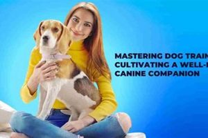Best Canine Companion Dog Training Guide My Caring Dog – Tips, Stories, and Care Guides for Loving Pet Owners Best Canine Companion Dog Training Guide | My Caring Dog – Tips, Stories, and Care Guides for Loving Pet Owners