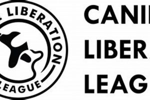 Join the Canine Liberation League: Car Dog Edition My Caring Dog – Tips, Stories, and Care Guides for Loving Pet Owners Join the Canine Liberation League: Car Dog Edition | My Caring Dog – Tips, Stories, and Care Guides for Loving Pet Owners