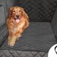 Best Dog Car Seat Covers Near You: Shop Now! | My Caring Dog – Tips, Stories, and Care Guides for Loving Pet Owners