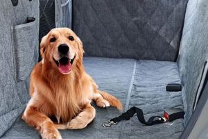 Hard Bottom Dog Car Hammock My Caring Dog – Tips, Stories, and Care Guides for Loving Pet Owners Hard Bottom Dog Car Hammock | My Caring Dog – Tips, Stories, and Care Guides for Loving Pet Owners