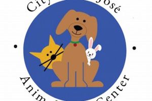 Adopt Loving Dogs in San Jose Today! My Caring Dog – Tips, Stories, and Care Guides for Loving Pet Owners Adopt Loving Dogs in San Jose Today! | My Caring Dog – Tips, Stories, and Care Guides for Loving Pet Owners