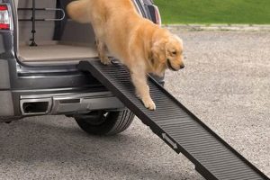 Best Dog Ramp for Car: Easy Access & Safe Travel My Caring Dog – Tips, Stories, and Care Guides for Loving Pet Owners Best Dog Ramp for Car: Easy Access & Safe Travel | My Caring Dog – Tips, Stories, and Care Guides for Loving Pet Owners