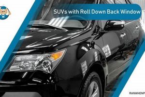 Dog's Car Wash Window Roll Fail! My Caring Dog – Tips, Stories, and Care Guides for Loving Pet Owners Dog's Car Wash Window Roll Fail! | My Caring Dog – Tips, Stories, and Care Guides for Loving Pet Owners