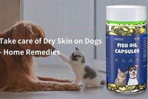 Dog Dry Skin Care: 5 Vet-Approved Tips My Caring Dog – Tips, Stories, and Care Guides for Loving Pet Owners Dog Dry Skin Care: 5 Vet-Approved Tips | My Caring Dog – Tips, Stories, and Care Guides for Loving Pet Owners