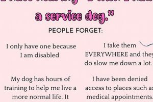 Best ADHD Service Dogs: Training & Benefits My Caring Dog – Tips, Stories, and Care Guides for Loving Pet Owners Best ADHD Service Dogs: Training & Benefits | My Caring Dog – Tips, Stories, and Care Guides for Loving Pet Owners