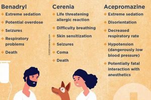Best Dog Car Anxiety Meds: Safe Travel Tips My Caring Dog – Tips, Stories, and Care Guides for Loving Pet Owners Best Dog Car Anxiety Meds: Safe Travel Tips | My Caring Dog – Tips, Stories, and Care Guides for Loving Pet Owners