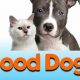 Top Dog Coaching &amp; Pet Care Services | My Caring Dog – Tips, Stories, and Care Guides for Loving Pet Owners