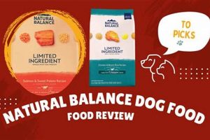 Best Natural Care Dog Food: A Guide My Caring Dog – Tips, Stories, and Care Guides for Loving Pet Owners Best Natural Care Dog Food: A Guide | My Caring Dog – Tips, Stories, and Care Guides for Loving Pet Owners