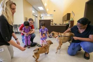 Best San Antonio Animal Adoption Centers for Dogs My Caring Dog – Tips, Stories, and Care Guides for Loving Pet Owners Best San Antonio Animal Adoption Centers for Dogs | My Caring Dog – Tips, Stories, and Care Guides for Loving Pet Owners