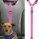 Best Dog Car Restraints: Safe & Secure Travel | My Caring Dog – Tips, Stories, and Care Guides for Loving Pet Owners