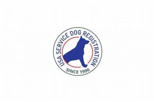 Top USA Service Dog Promo Codes & Deals My Caring Dog – Tips, Stories, and Care Guides for Loving Pet Owners Top USA Service Dog Promo Codes & Deals | My Caring Dog – Tips, Stories, and Care Guides for Loving Pet Owners