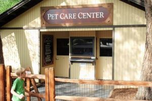 Best Busch Gardens Dog Day Care: Pampered Pets My Caring Dog – Tips, Stories, and Care Guides for Loving Pet Owners Best Busch Gardens Dog Day Care: Pampered Pets | My Caring Dog – Tips, Stories, and Care Guides for Loving Pet Owners