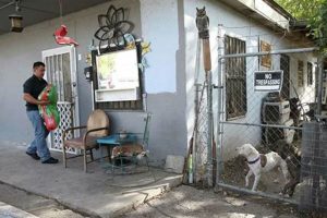Adopt San Antonio Dogs: See Photos & Find Your New Friend My Caring Dog – Tips, Stories, and Care Guides for Loving Pet Owners Adopt San Antonio Dogs: See Photos & Find Your New Friend | My Caring Dog – Tips, Stories, and Care Guides for Loving Pet Owners