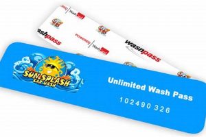 Best Car & Dog Wash in Moses Lake, WA My Caring Dog – Tips, Stories, and Care Guides for Loving Pet Owners Best Car & Dog Wash in Moses Lake, WA | My Caring Dog – Tips, Stories, and Care Guides for Loving Pet Owners