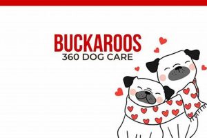 Buckaroos 360 Dog Care My Caring Dog – Tips, Stories, and Care Guides for Loving Pet Owners Buckaroos 360 Dog Care | My Caring Dog – Tips, Stories, and Care Guides for Loving Pet Owners
