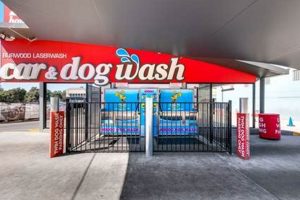 Burwood Car & Dog Wash My Caring Dog – Tips, Stories, and Care Guides for Loving Pet Owners Burwood Car & Dog Wash | My Caring Dog – Tips, Stories, and Care Guides for Loving Pet Owners