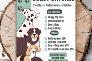 Best Dog Day Care Business: Find Top Care My Caring Dog – Tips, Stories, and Care Guides for Loving Pet Owners Best Dog Day Care Business: Find Top Care | My Caring Dog – Tips, Stories, and Care Guides for Loving Pet Owners