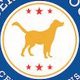 Certified Car Dog Accreditation & Training | My Caring Dog – Tips, Stories, and Care Guides for Loving Pet Owners