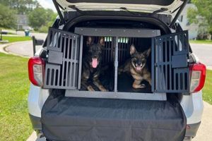 Best Dog Crate for Car Trunk | Safe Travel My Caring Dog – Tips, Stories, and Care Guides for Loving Pet Owners Best Dog Crate for Car Trunk | Safe Travel | My Caring Dog – Tips, Stories, and Care Guides for Loving Pet Owners