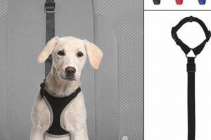 Best Zipline Dog Car Harnesses for Safe Travels My Caring Dog – Tips, Stories, and Care Guides for Loving Pet Owners Best Zipline Dog Car Harnesses for Safe Travels | My Caring Dog – Tips, Stories, and Care Guides for Loving Pet Owners