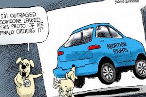 What Happens When The Dog Catches The Car? My Caring Dog – Tips, Stories, and Care Guides for Loving Pet Owners What Happens When The Dog Catches The Car? | My Caring Dog – Tips, Stories, and Care Guides for Loving Pet Owners