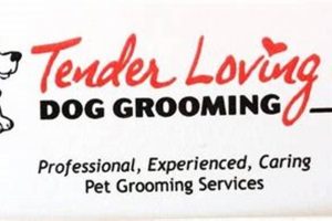 The Best Tender Loving Care Dog Grooming Services My Caring Dog – Tips, Stories, and Care Guides for Loving Pet Owners The Best Tender Loving Care Dog Grooming Services | My Caring Dog – Tips, Stories, and Care Guides for Loving Pet Owners