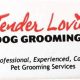 The Best Tender Loving Care Dog Grooming Services | My Caring Dog – Tips, Stories, and Care Guides for Loving Pet Owners